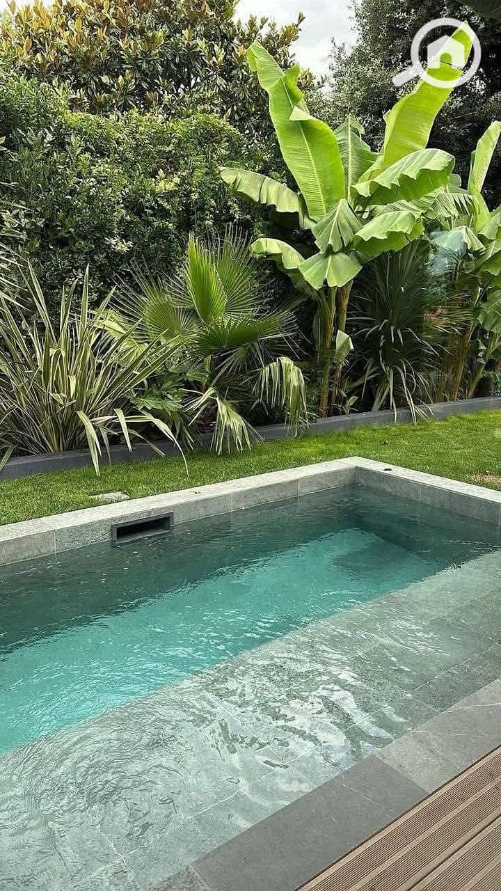 5 FB_IMG_1762275283064. jpg