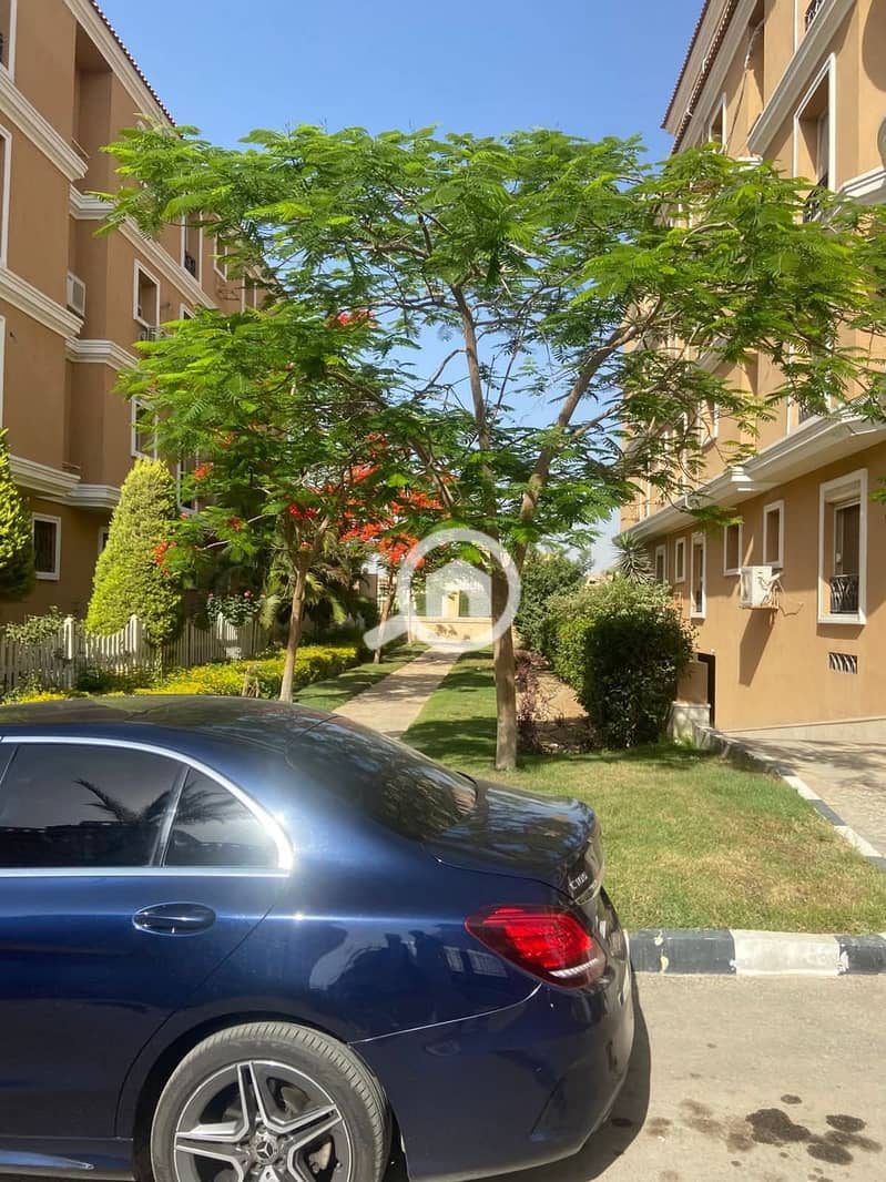 9 FB_IMG_1762275326811. jpg