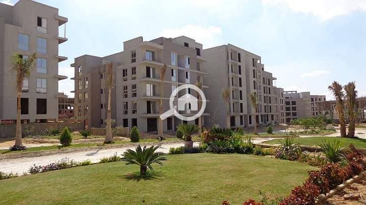 4 FB_IMG_1686897227196. jpg