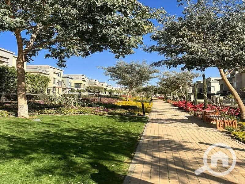 6 FB_IMG_1762276468215. jpg