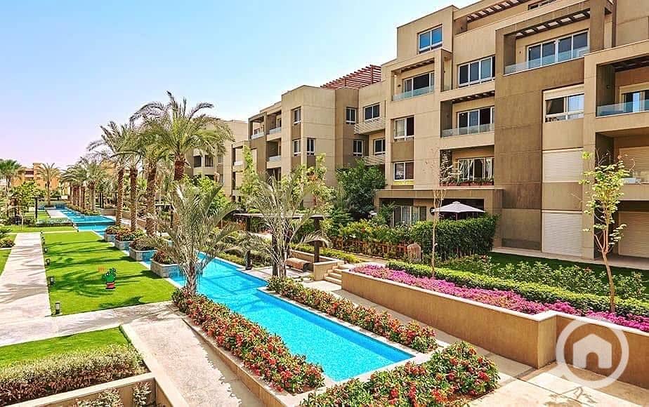 8 561095761_122191435340348376_4157974709842853562_n. jpg