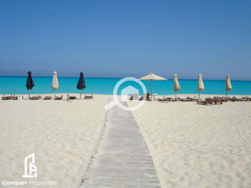 5 Untitled design - 2023-07-26T151156.238 (2). png