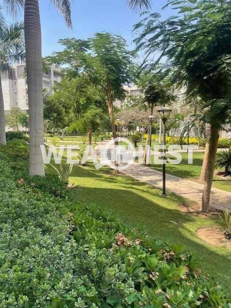 4 b0fd84f5-fc1f-4461-b2c5-df7a3cfef308. jpg