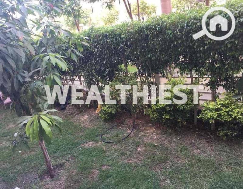 5 c2eb2229-dfee-4110-aa3d-af2e91efe75a. jpg