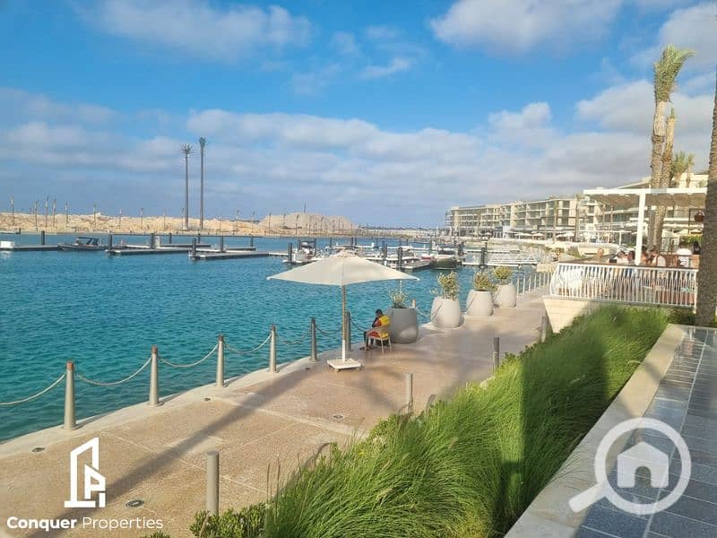 10 Untitled design - 2023-07-26T145858.036 (2). png