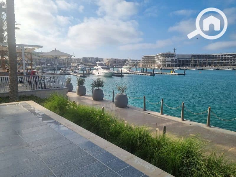 8 Untitled design - 2023-07-12T141649.410 - Copy - Copy - Copy. png