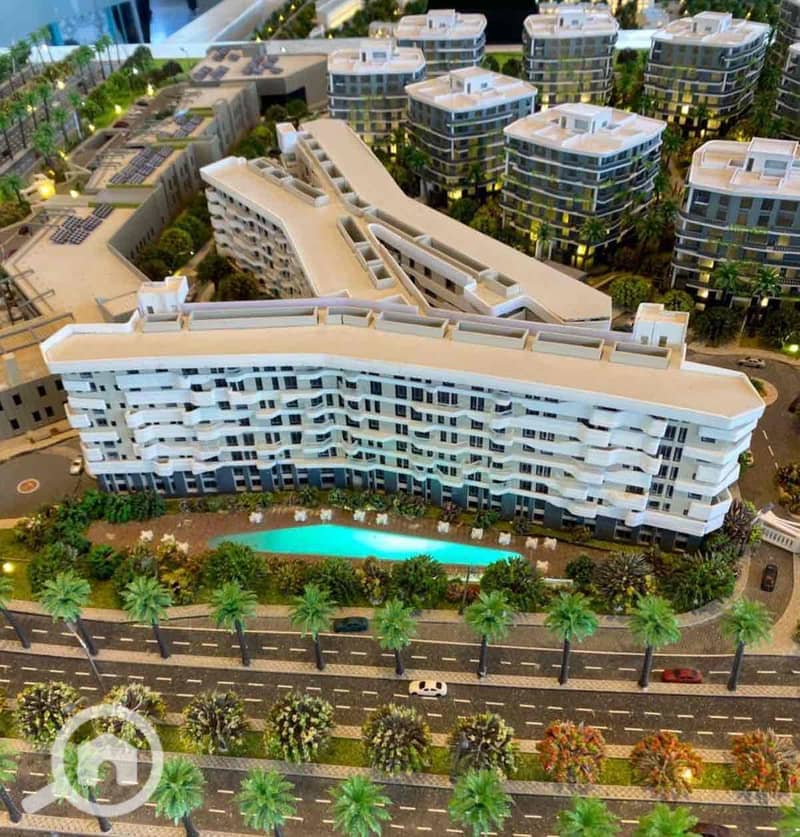 4 36b3cc36-8929-4f64-9e55-dd78819b6cb4. jpg