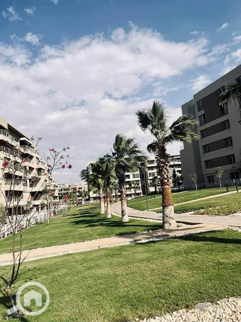 9 FB_IMG_1762283482208. jpg