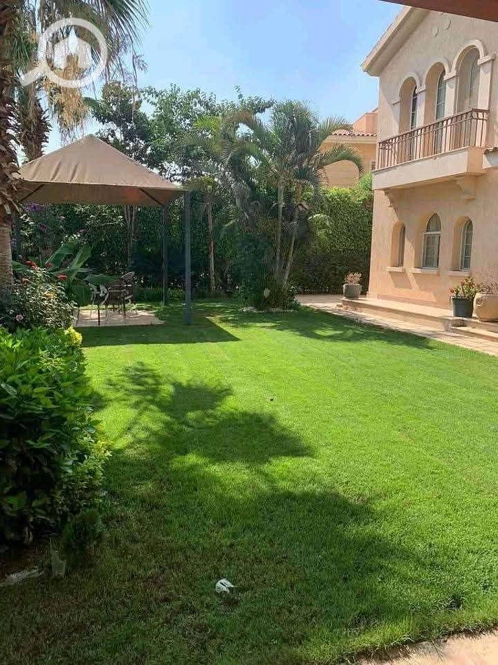 2 FB_IMG_1762284384162. jpg