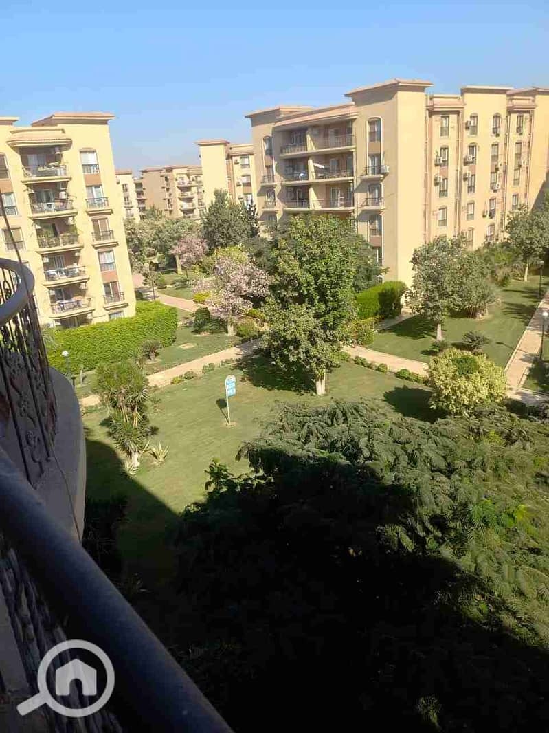 1000555746. jpg 1000555746. jpg