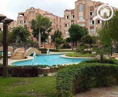 شقة 3 غرف نوم للايجار في الشيخ زايد، الجيزة - 1000276756. jpg