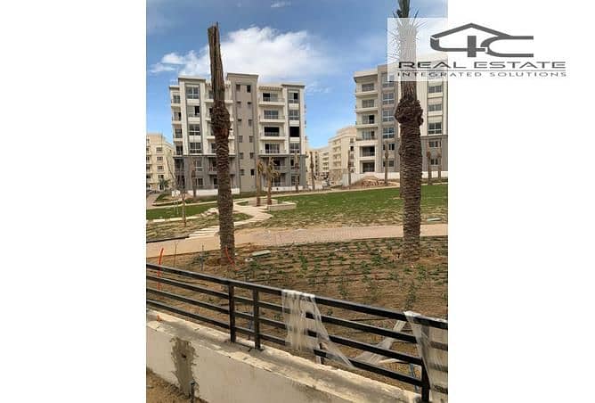 7 3828587-7b889o - Copy. jpg