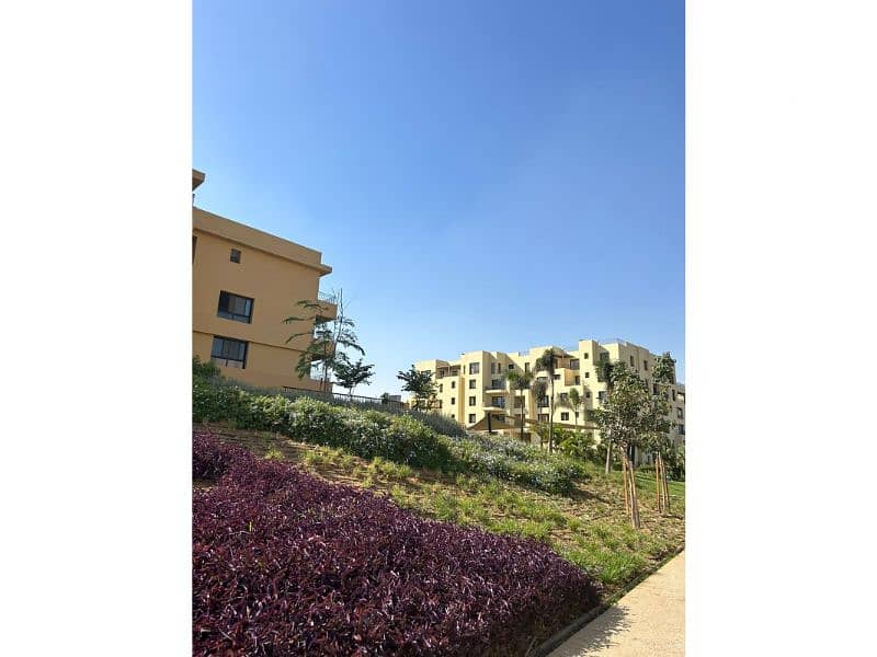 12 557738589_4114944725429689_2599368503087339140_n. jpg