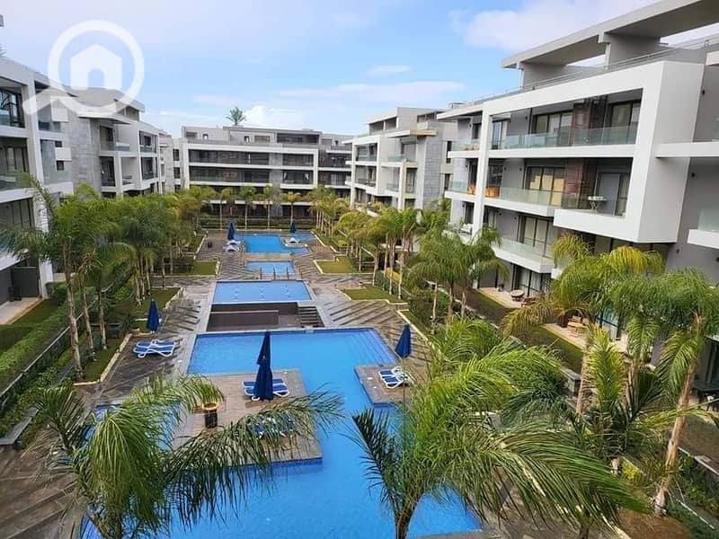 13 489954306_28960191036960559_5209764613271830331_n. jpg