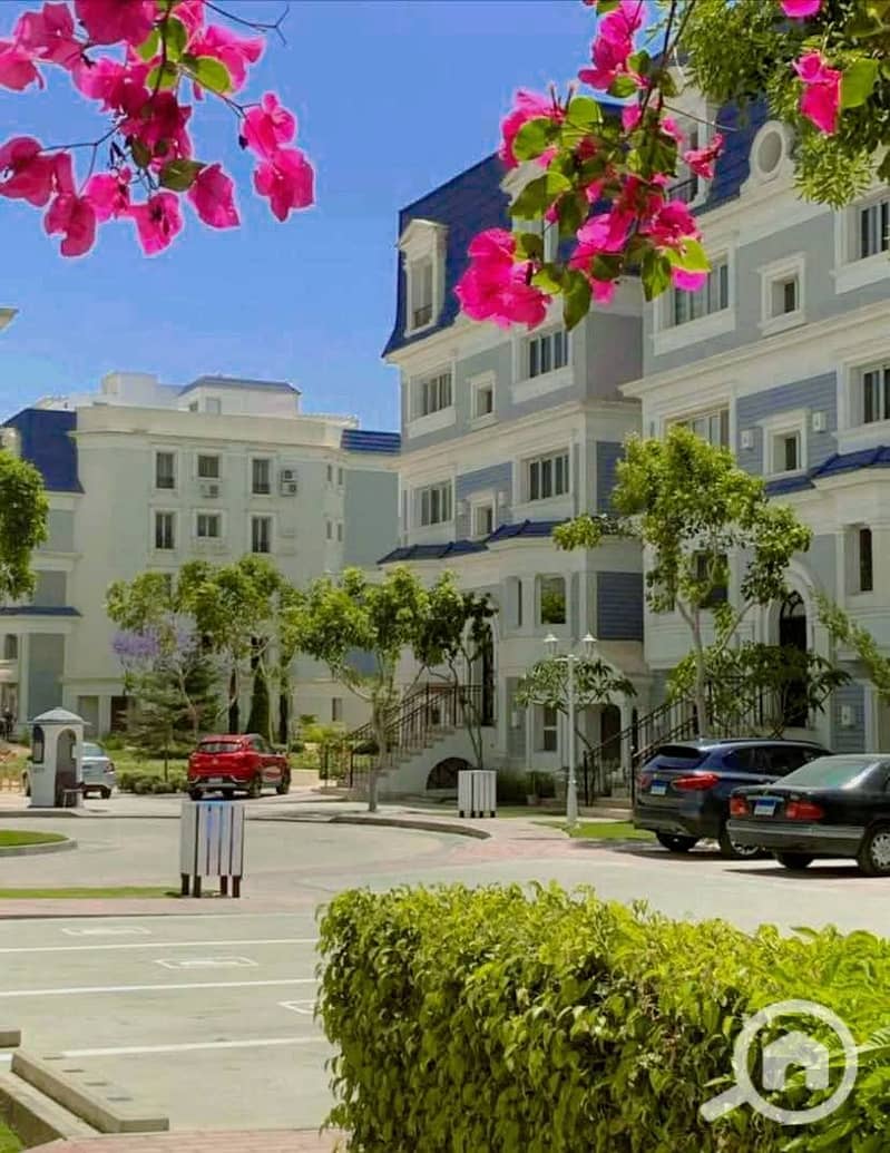 4 542752217_122183054852454983_7110170182433232815_n. jpg