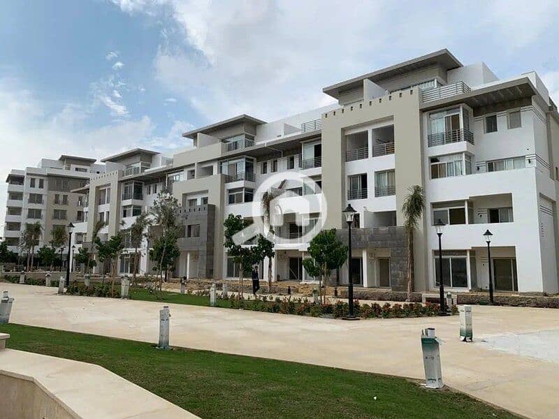 3 434024049_980527353404328_2939066634332438775_n. jpg