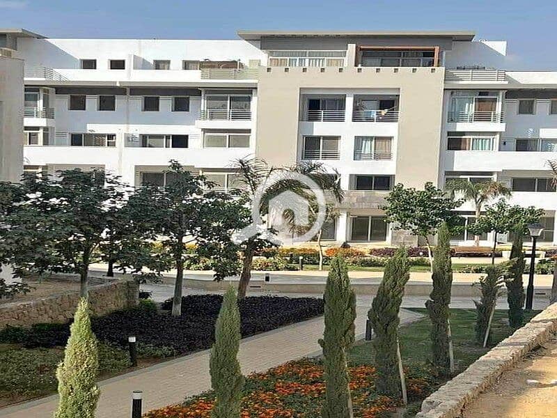 7 412880781_122139783536067060_7101712462579727915_n. jpg