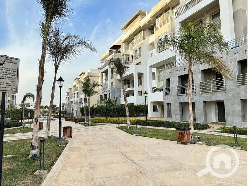 10 438169257_448229521100380_4541978495144330881_n. jpg