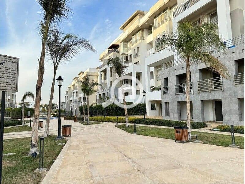 10 438169257_448229521100380_4541978495144330881_n. jpg