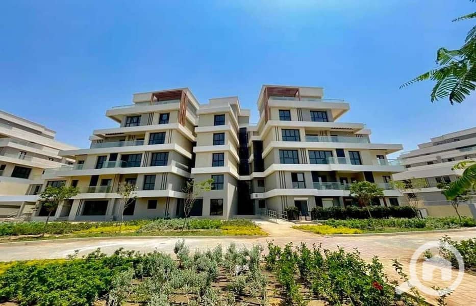 2 447768699_2638612839646659_8276160701992142610_n. jpg