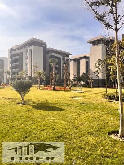 3 Bedroom Apartment for Sale in Madinaty, Cairo - WhatsApp Image 2025-11-04 at 10.31. 14 PM (2). jpeg