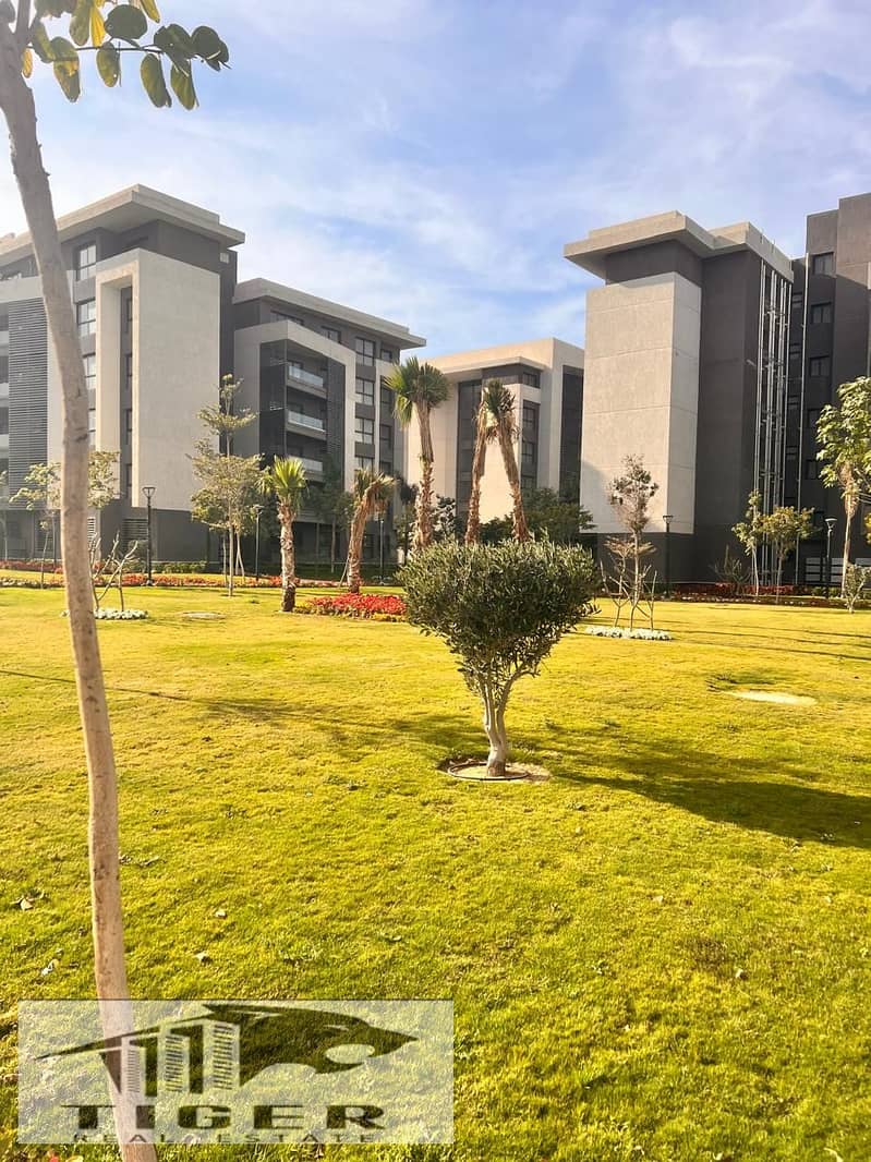 3 WhatsApp Image 2025-11-04 at 10.31. 14 PM (1). jpeg