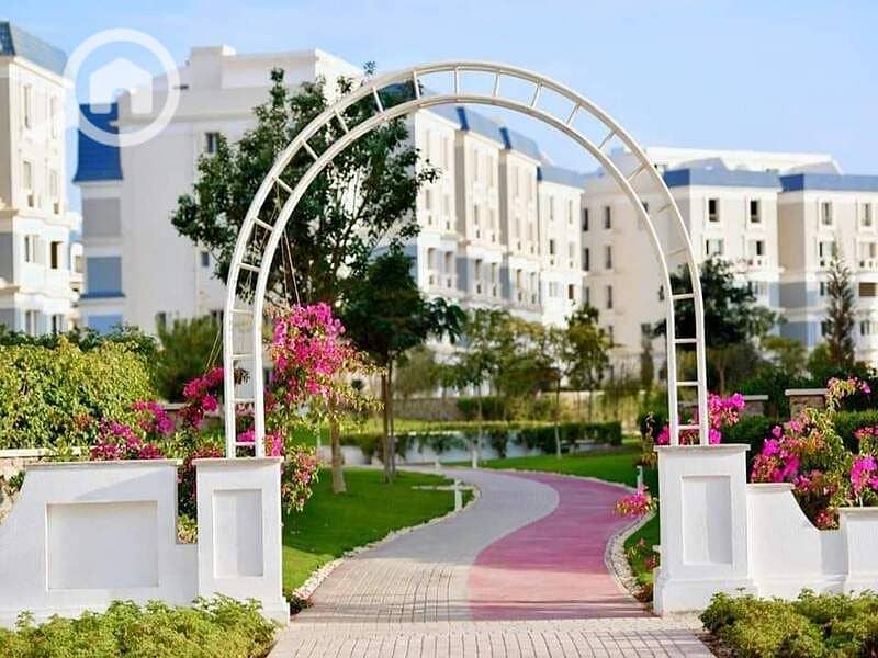 15 120269236_178753527161367_281429398360518019_n. jpg