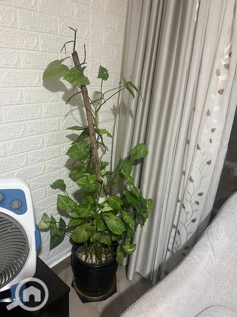 12 WhatsApp Image 2025-11-04 at 7.01. 24 PM (2). jpeg