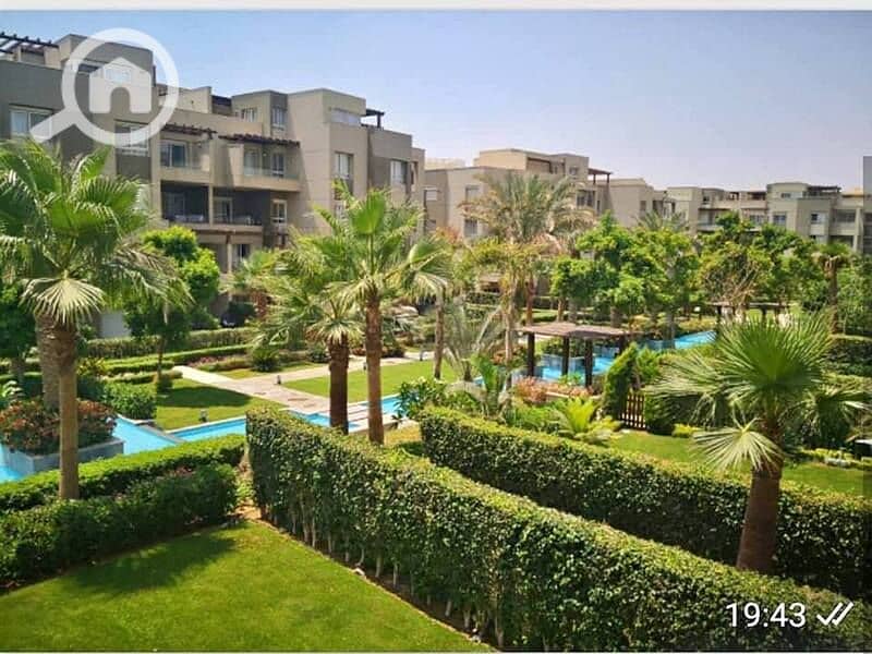 7 92484754_2463526337245808_5998599471624093696_n. jpg