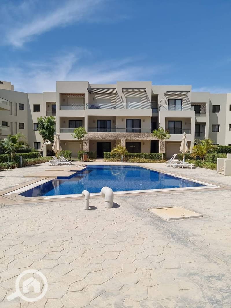 2 FB_IMG_1721392166066. jpg