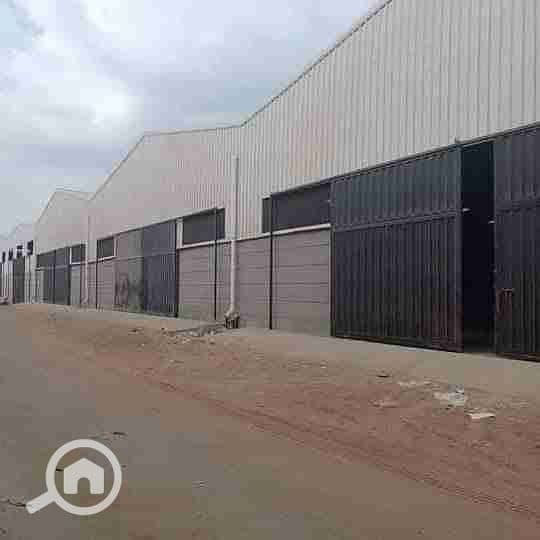 1000239893. jpg 1000239893. jpg