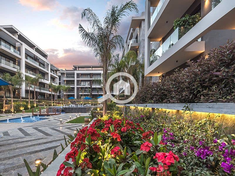 4 16800859291680085929_642413a996235. jpg