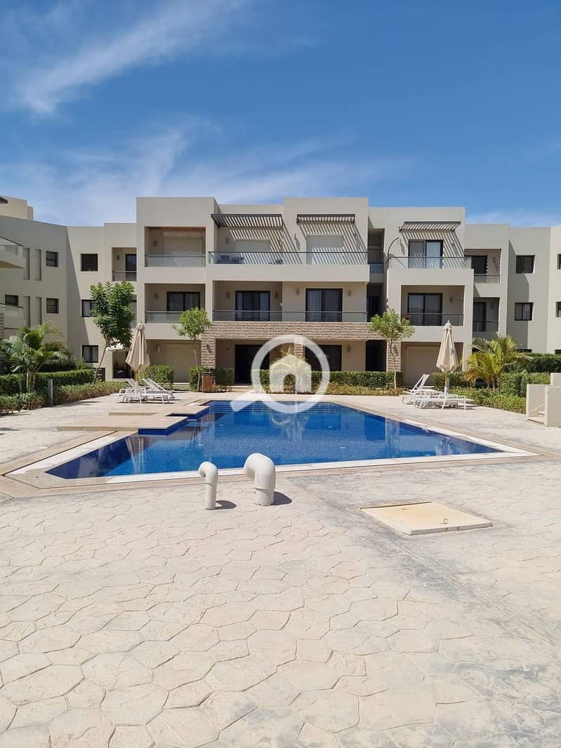 3 FB_IMG_1721392166066. jpg