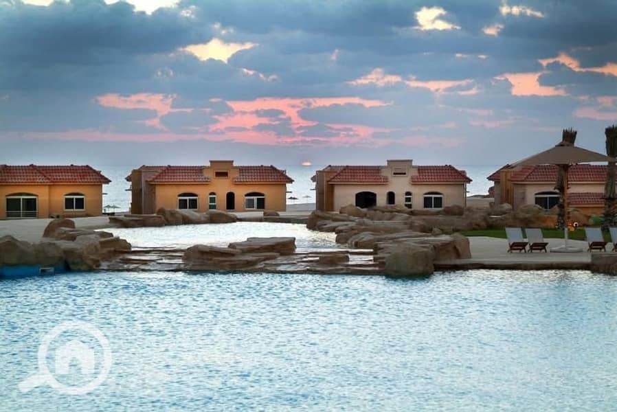 2 547267971_643920158768994_2797521016935161931_n. jpg