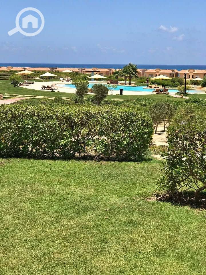 6 568949126_839396138466219_250383200024819176_n. jpg