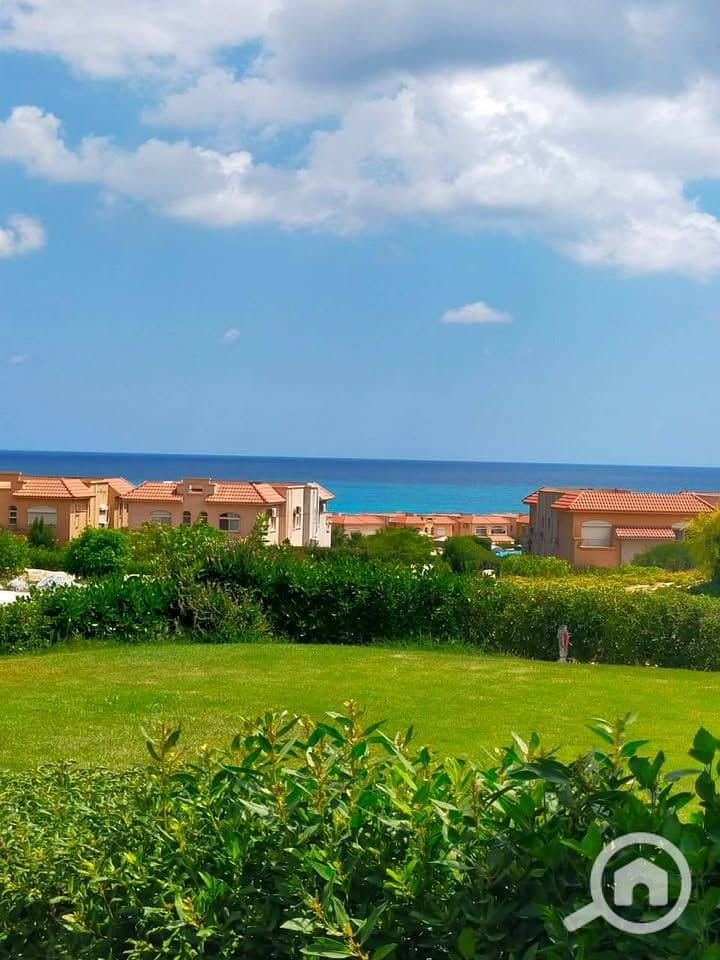 13 538612148_122171069222489946_4794200853298344698_n. jpg