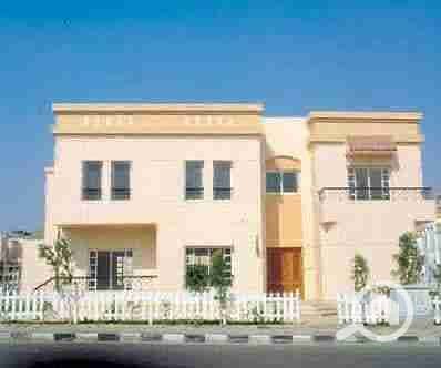 1000372168. jpg 1000372168. jpg