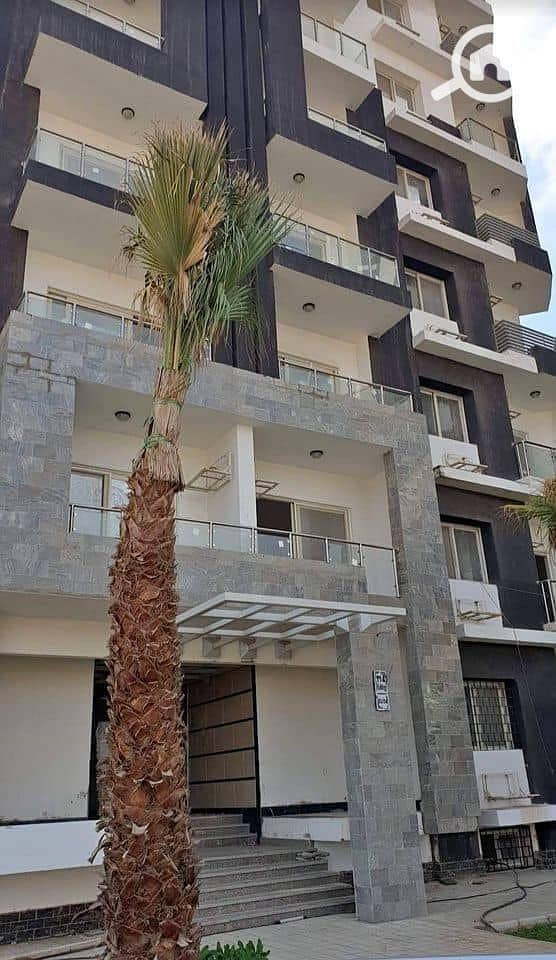 4 464625572_2153001125094569_585491171977988022_n. jpg