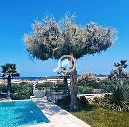 6 532190275_3072005879604774_8273169831827048119_n. jpg