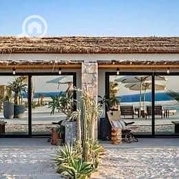 8 540238580_1431984358024027_5364334681468780816_n. jpg