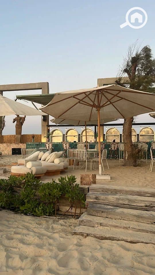 12 514246586_122128386296877090_4074827784828044602_n. jpg