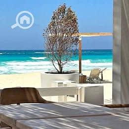 13 564652045_1316770950128712_5002616894415926414_n. jpg