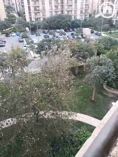 شقة 3 غرف نوم للايجار في القاهرة الجديدة، القاهرة - 203519. jpg