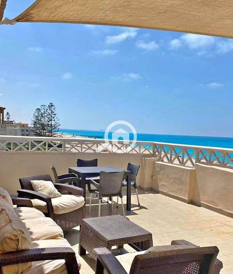 10 571050331_1468122817808109_4891160645539454981_n. jpg