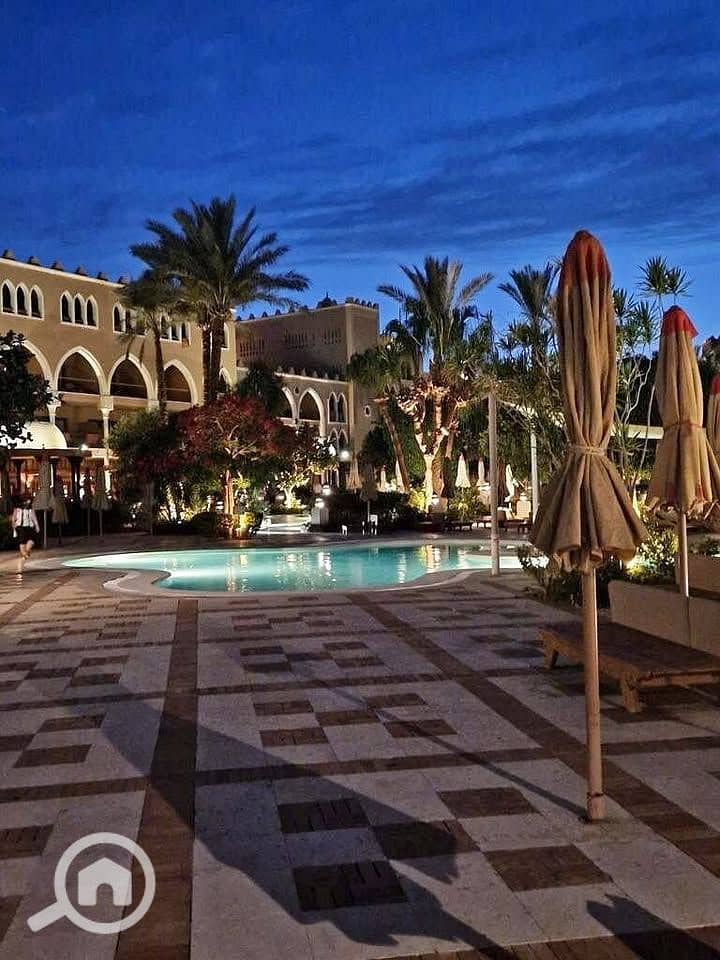 2 568716635_1463162968076766_8492609633738355453_n. jpg