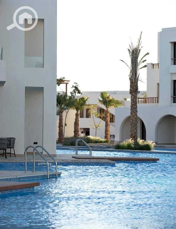 11 557644476_122154454700606769_885256149654236484_n (1). jpg