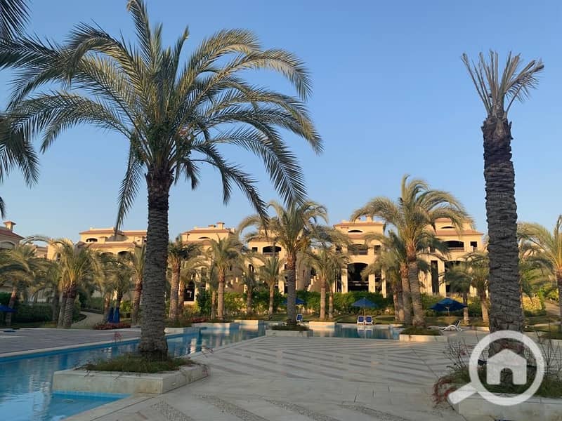 12 WhatsApp Image 2025-02-28 at 18.52. 04_a98b9f97. jpg