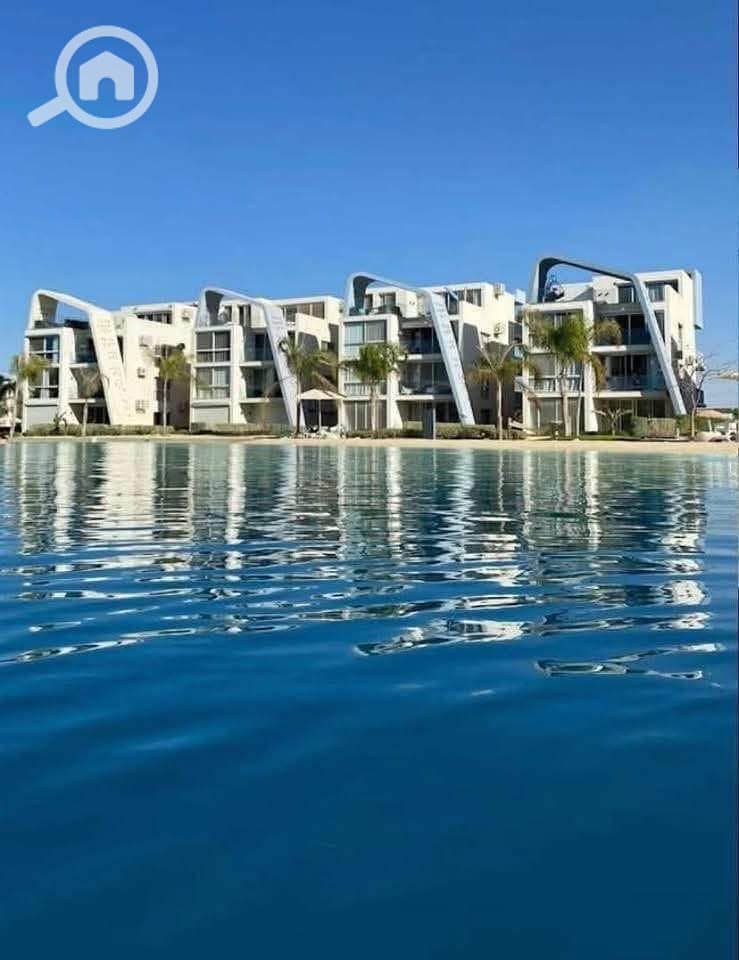 532007956_751178007647906_4153109129483263258_n. jpg 532007956_751178007647906_4153109129483263258_n. jpg