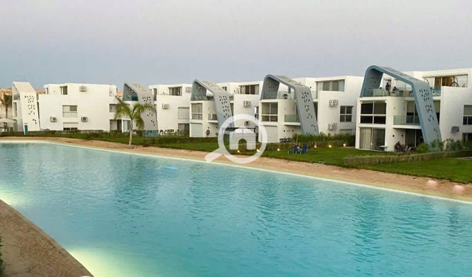 14 511746949_1028468349373456_2784218718738214043_n. jpg