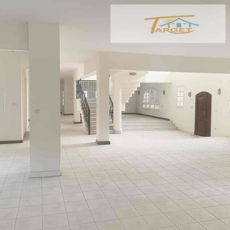 4 5b976951-77dc-4d3d-aeee-a139af466dea. jpg